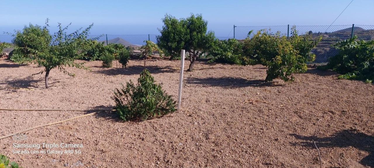 Casa Luis Pico Villa Granadilla De Abona Eksteriør bilde
