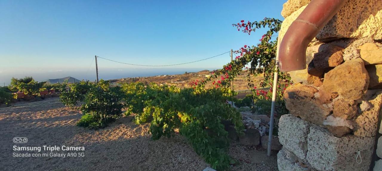 Casa Luis Pico Villa Granadilla De Abona Eksteriør bilde